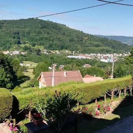 Gite De Bellevue Maison Traditionnelle Vosgienne 普兰凡 外观 照片