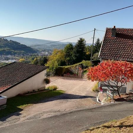 Gite De Bellevue Maison Traditionnelle Vosgienne 普兰凡 外观 照片