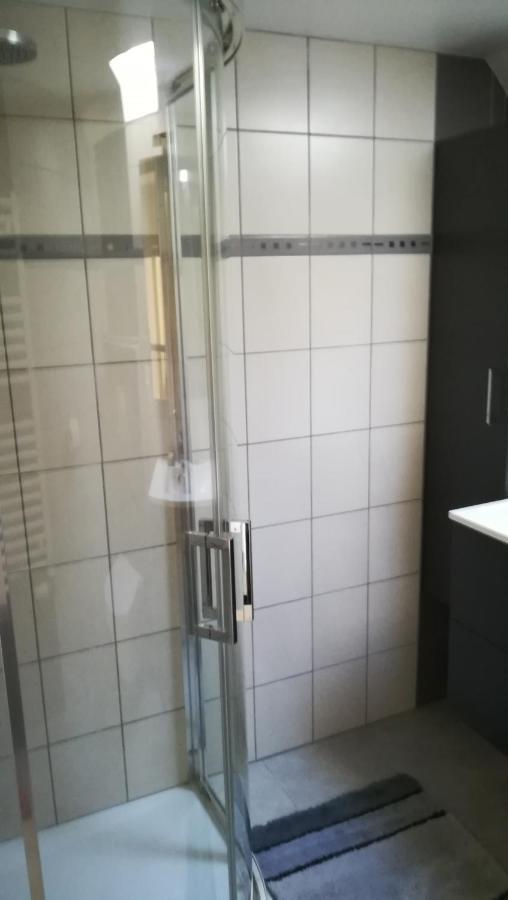 Gite De Bellevue Maison Traditionnelle Vosgienne 普兰凡 外观 照片