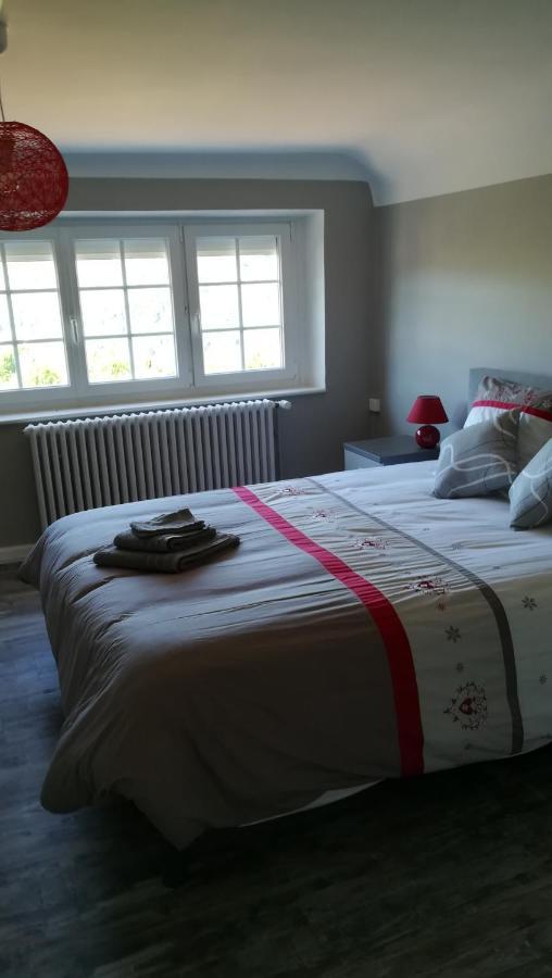 Gite De Bellevue Maison Traditionnelle Vosgienne 普兰凡 外观 照片