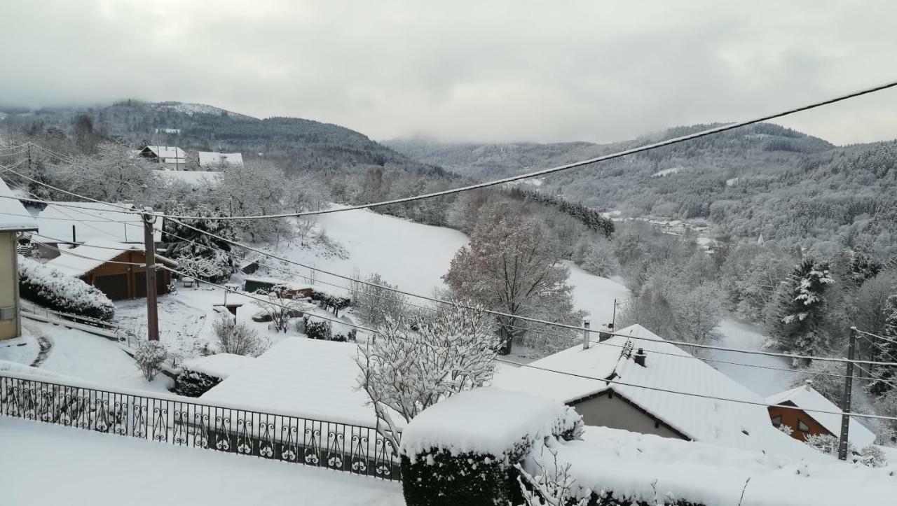 Gite De Bellevue Maison Traditionnelle Vosgienne 普兰凡 外观 照片