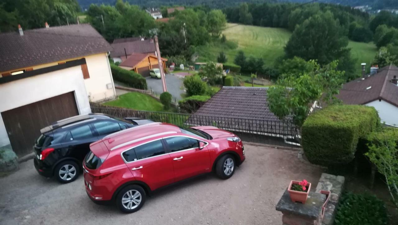 Gite De Bellevue Maison Traditionnelle Vosgienne 普兰凡 外观 照片