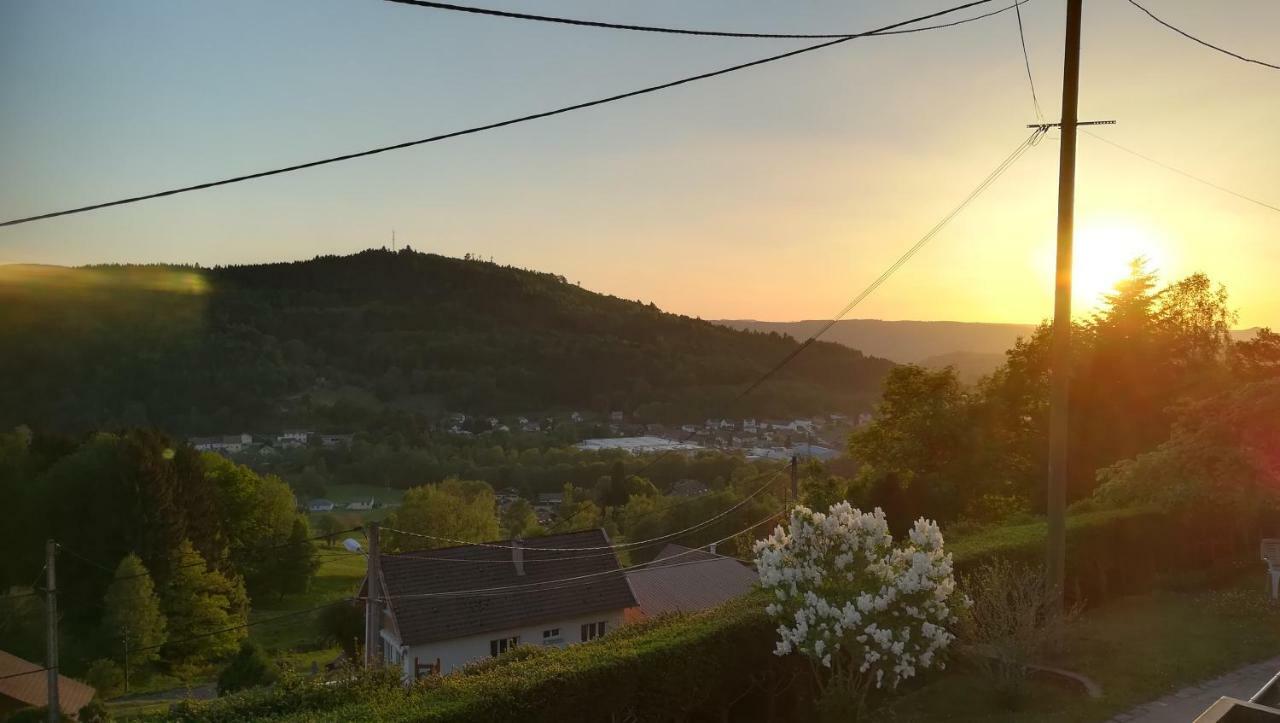 Gite De Bellevue Maison Traditionnelle Vosgienne 普兰凡 外观 照片
