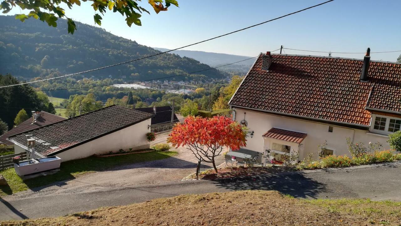 Gite De Bellevue Maison Traditionnelle Vosgienne 普兰凡 外观 照片