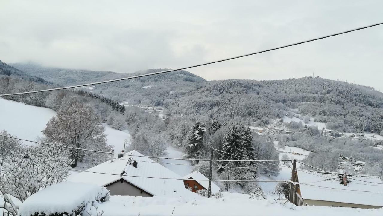 Gite De Bellevue Maison Traditionnelle Vosgienne 普兰凡 外观 照片