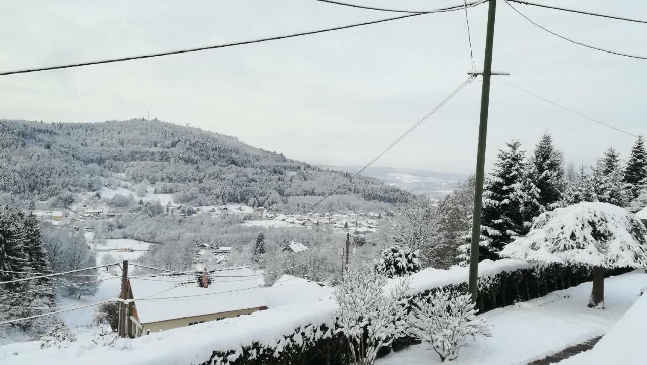 Gite De Bellevue Maison Traditionnelle Vosgienne 普兰凡 外观 照片