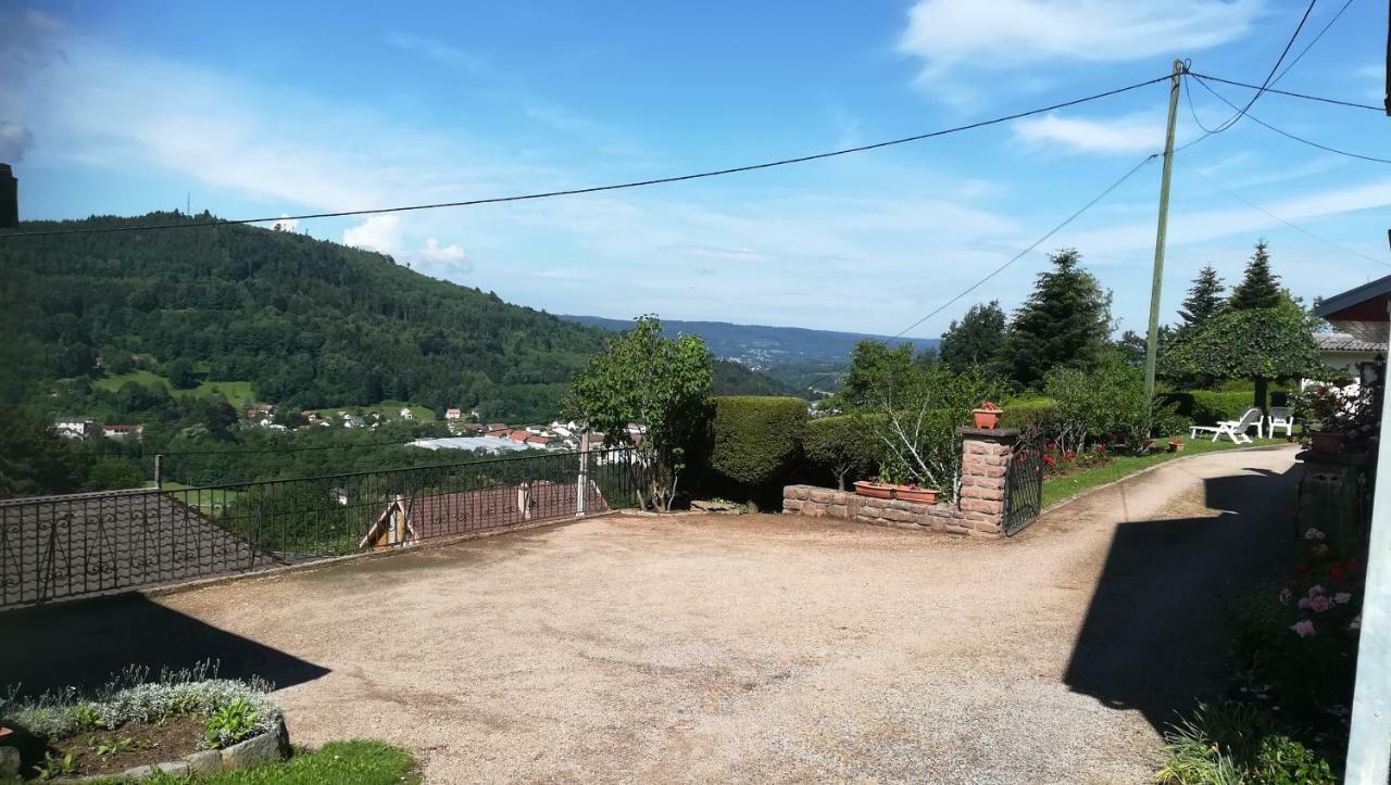 Gite De Bellevue Maison Traditionnelle Vosgienne 普兰凡 外观 照片