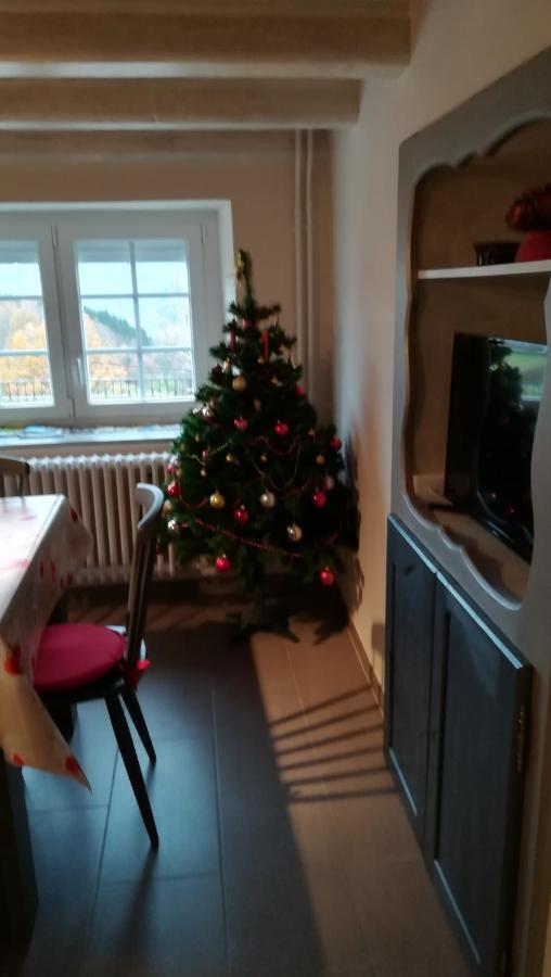 Gite De Bellevue Maison Traditionnelle Vosgienne 普兰凡 外观 照片