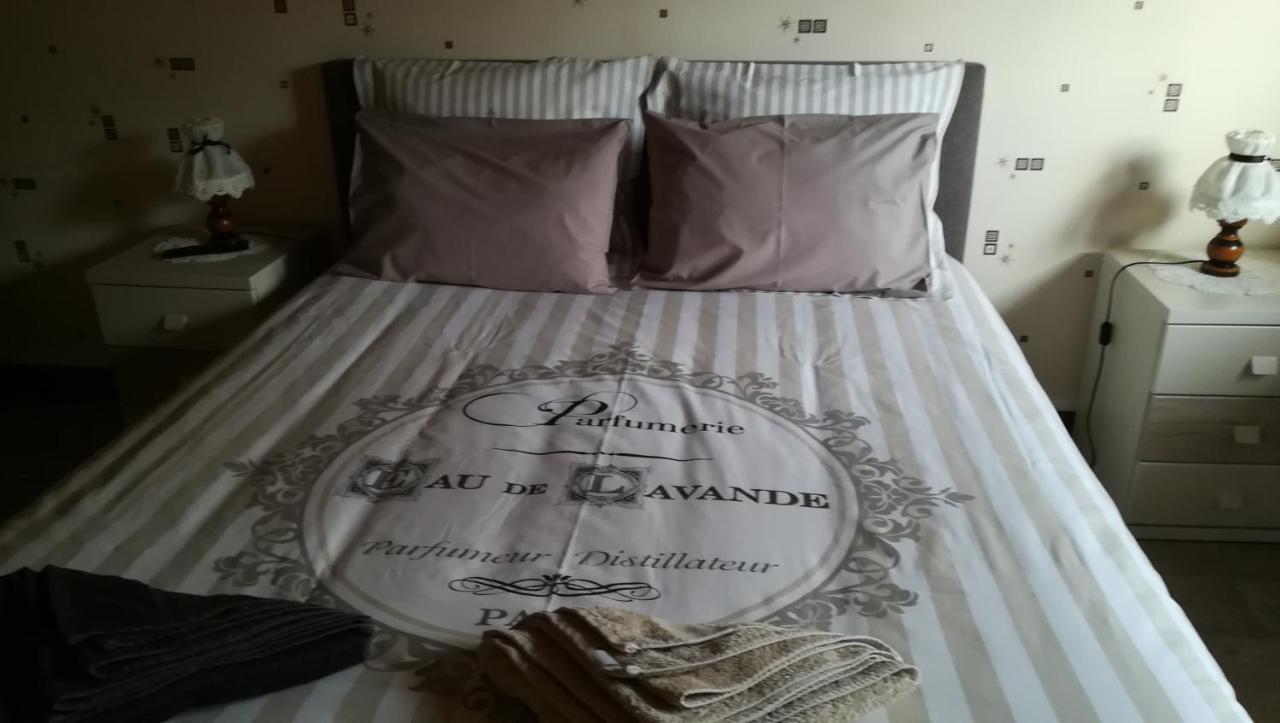 Gite De Bellevue Maison Traditionnelle Vosgienne 普兰凡 外观 照片